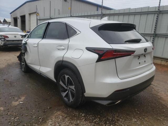 JTJGARBZ8M5022779 - 2021 LEXUS NX 300 BASE Ağ foto 2