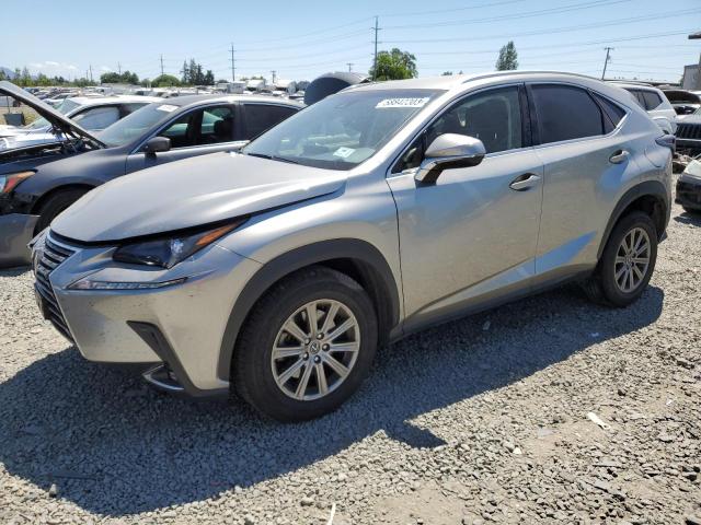 JTJYARBZ1J2100627 - 2018 LEXUS NX 300 BASE Boz foto 1