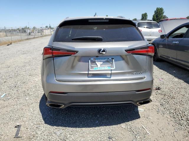 JTJYARBZ1J2100627 - 2018 LEXUS NX 300 BASE Boz foto 6