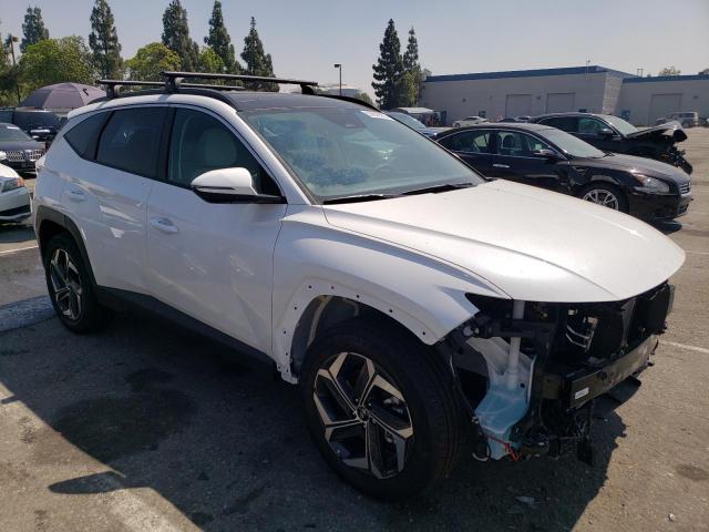 KM8JFCA15PU111542 - 2023 HYUNDAI TUCSON SEL CONVENIENCE WHITE photo 4