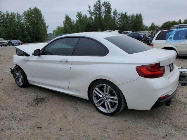 WBA1F5C5XEVW98020 - 2014 BMW 228 I WHITE photo 2