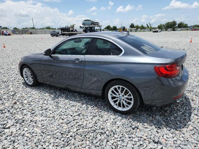 WBA1F7C5XFV367659 - 2015 BMW 228 XI GRAY photo 2