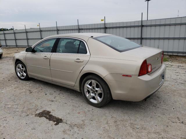 1G1ZC5EB2AF187027 - 2010 CHEVROLET MALIBU 1LT CREAM photo 2