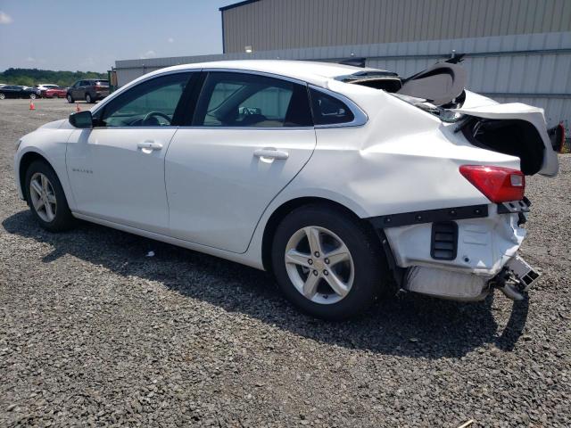 1G1ZC5ST6PF151993 - 2023 CHEVROLET MALIBU LS WHITE photo 2