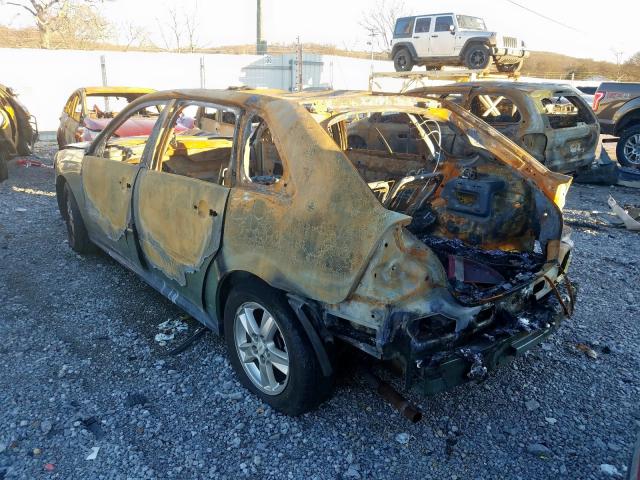 1G1ZT62825F137541 - 2005 CHEVROLET MALIBU MAXX LS  照片 3