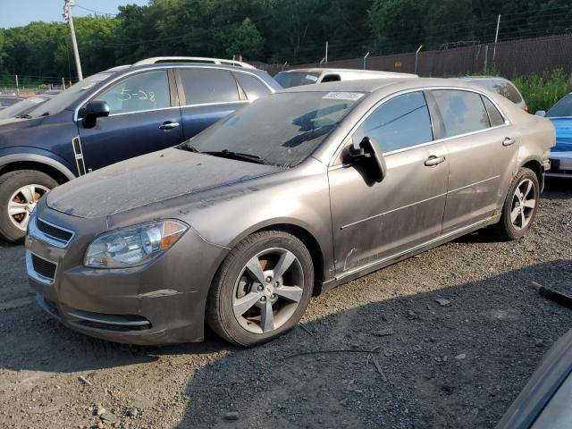 1G1ZC5E14BF225558 - 2011 CHEVROLET MALIBU 1LT GRAY photo 1