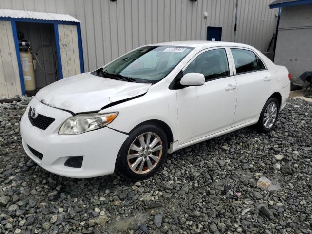 2010 TOYOTA COROLLA BASE, null