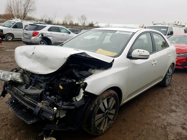 KNAFU4A27D5728832 - 2013 KIA FORTE EX  photo 2