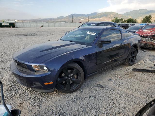 1ZVBP8AM9C5247610 - 2012 FORD MUSTANG BLUE photo 1