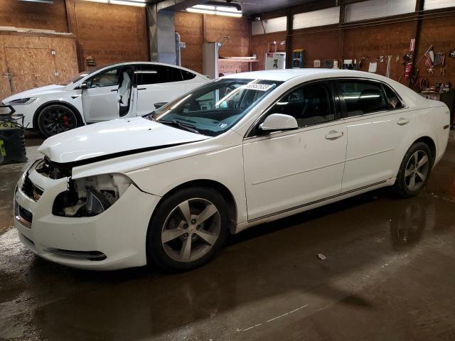1G1ZC5E15BF223916 - 2011 CHEVROLET MALIBU 1LT WHITE photo 1
