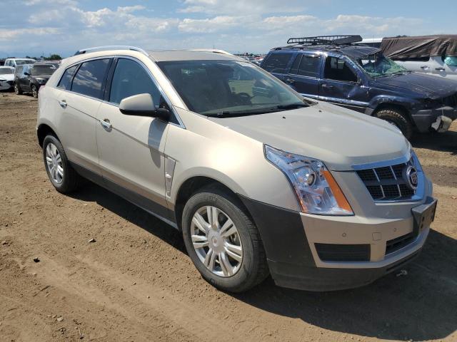 3GYFNDEY2BS680622 - 2011 CADILLAC SRX LUXURY COLLECTION BEIGE photo 4