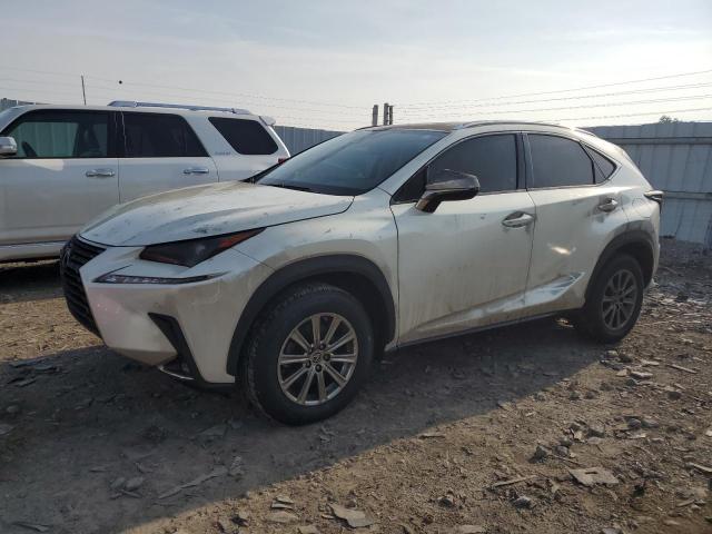 JTJDARDZ5M5027292 - 2021 LEXUS NX 300 BASE 白色 照片 1