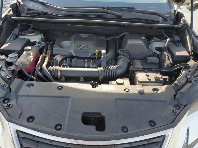 JTJDARDZ5M5027292 - 2021 LEXUS NX 300 BASE 白色 照片 12