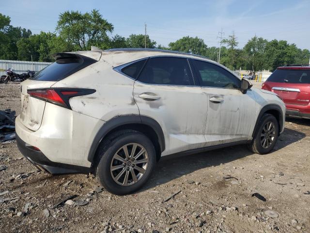 JTJDARDZ5M5027292 - 2021 LEXUS NX 300 BASE 白色 照片 3