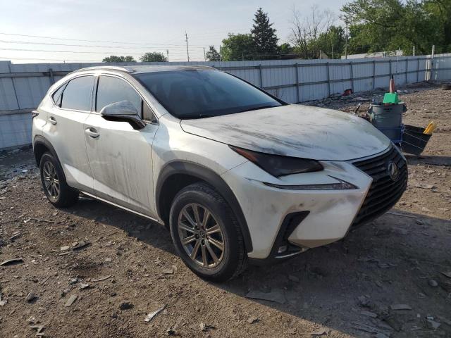 JTJDARDZ5M5027292 - 2021 LEXUS NX 300 BASE 白色 照片 4