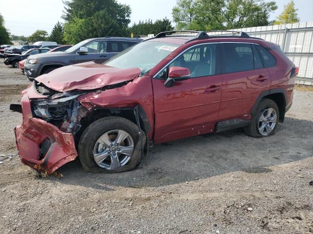 2025 TOYOTA RAV4 XLE, 