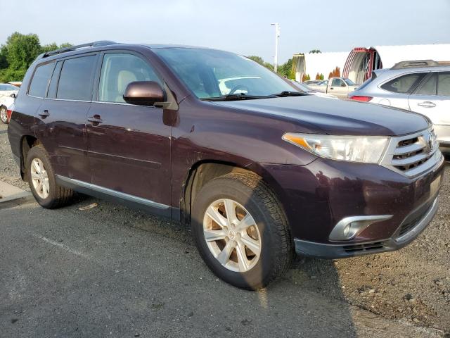 5TDBK3EHXBS069829 - 2011 TOYOTA HIGHLANDER BASE PURPLE photo 4