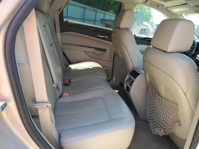 3GYFNBE36CS500262 - 2012 CADILLAC SRX PERFORMANCE COLLECTION 金色 照片 10