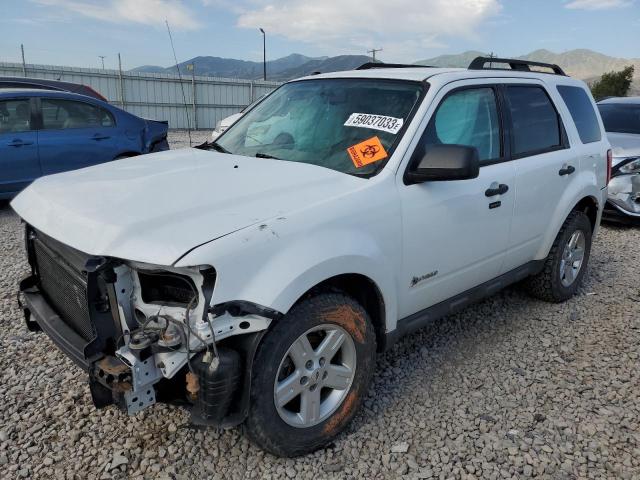 1FMCU5K39AKC85692 - 2010 FORD ESCAPE HYBRID WHITE photo 1