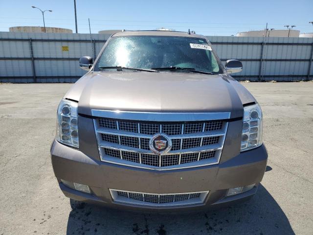 1GYS4KEF1DR206347 - 2013 CADILLAC ESCALADE ESV PLATINUM Qəhvəyi foto 5