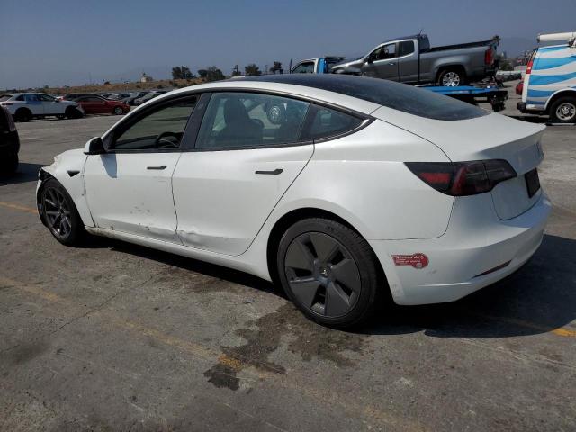 5YJ3E1EA1PF670853 - 2023 TESLA MODEL 3 Ağ foto 2
