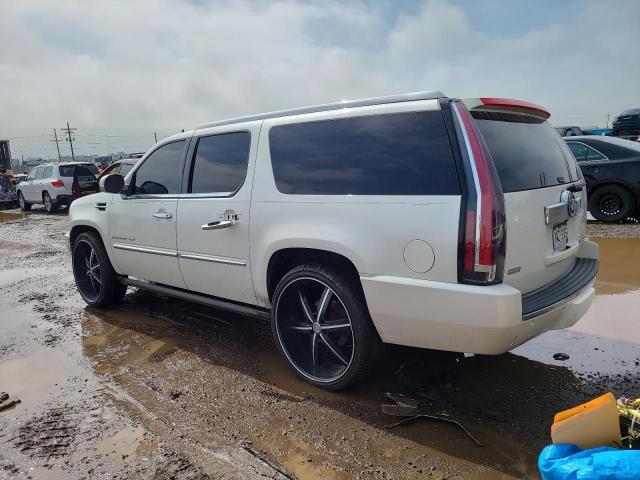 1GYUKJEF0AR205209 - 2010 CADILLAC ESCALADE ESV PREMIUM WHITE photo 2