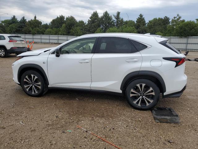 JTJBARBZ5K2197256 - 2019 LEXUS NX 300 BASE თეთრი ფოტო 2