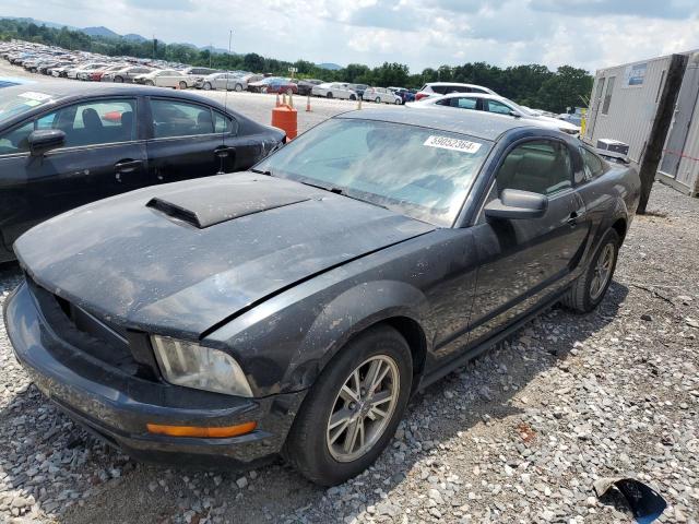 1ZVFT80N855120955 - 2005 FORD MUSTANG BLACK photo 1