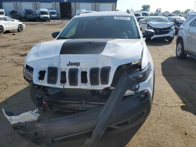 1C4PJMBX0KD422357 - 2019 JEEP CHEROKEE TRAILHAWK WHITE photo 5