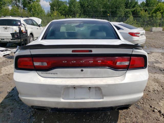 2C3CDXAT8DH643558 - 2013 DODGE CHARGER POLICE WHITE photo 6