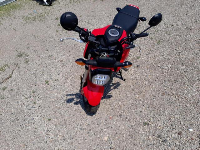 MLHJC921XP5104625 - 2023 HONDA GROM 125 RED photo 7