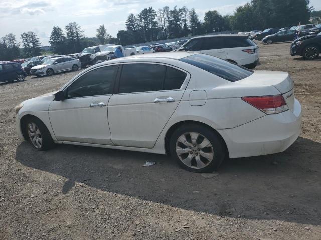 1HGCP36848A066887 - 2008 HONDA ACCORD EXL WHITE photo 2