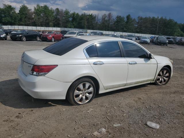 1HGCP36848A066887 - 2008 HONDA ACCORD EXL WHITE photo 3