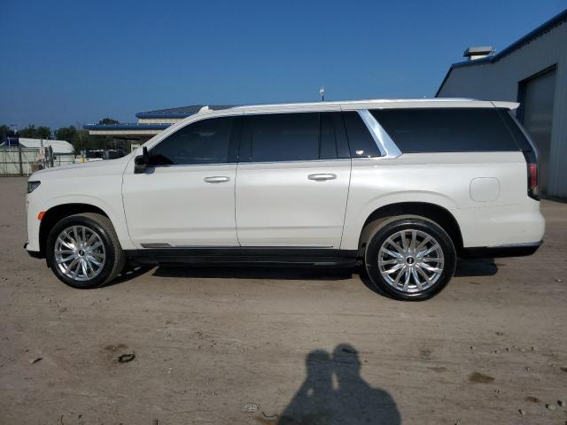 1GYS4KKL9MR487789 - 2021 CADILLAC ESCALADE ESV PREMIUM LUXURY WHITE photo 13