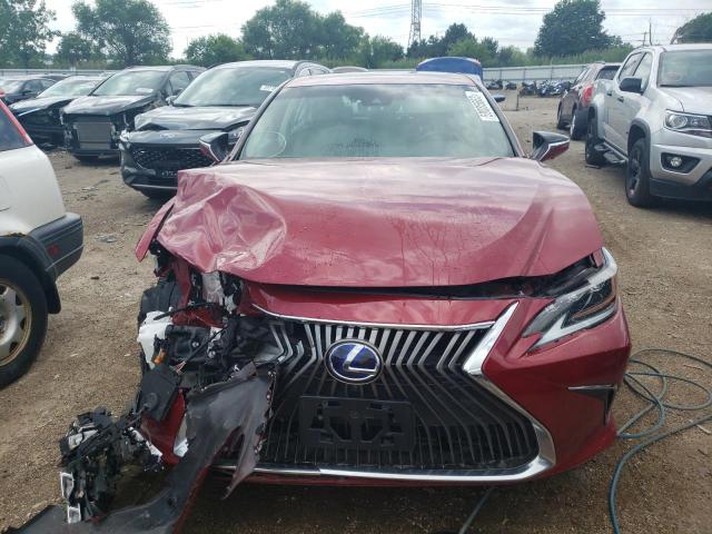 58AE21B12LU006167 - 2020 LEXUS ES 300H LUXURY RED photo 5