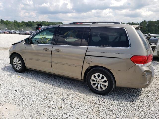 5FNRL3H62AB041886 - 2010 HONDA ODYSSEY EXL TAN photo 2