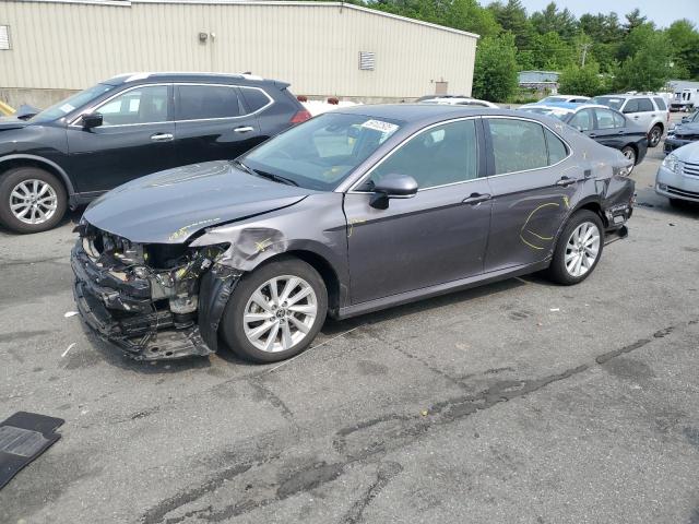 2023 TOYOTA CAMRY LE, null