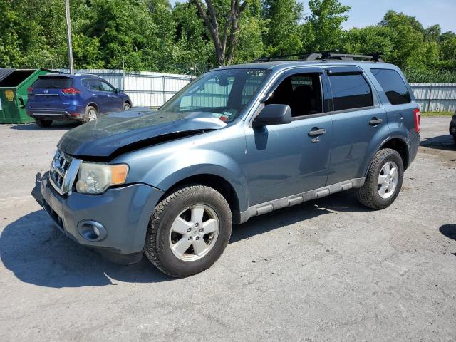 2010 FORD ESCAPE XLT, 