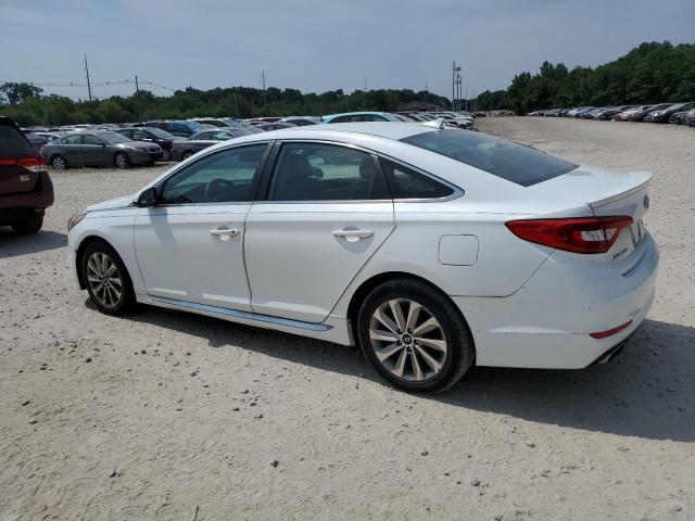 5NPE34AF1FH081366 - 2015 HYUNDAI SONATA SPORT WHITE photo 2