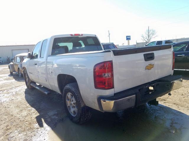 1GCRCREA1BZ114611 - 2011 CHEVROLET chevrolet silverado c1500 ls  photo 3