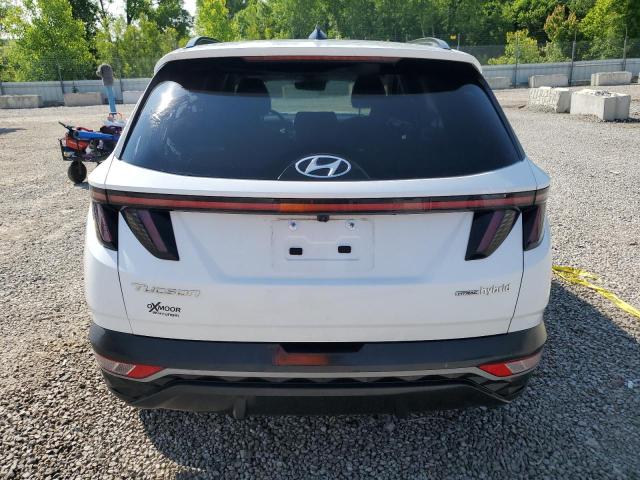 KM8JFCA16NU075650 - 2022 HYUNDAI TUCSON SEL CONVENIENCE 白色 照片 6