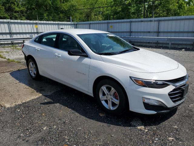 1G1ZC5ST3RF192021 - 2024 CHEVROLET MALIBU LS WHITE photo 4