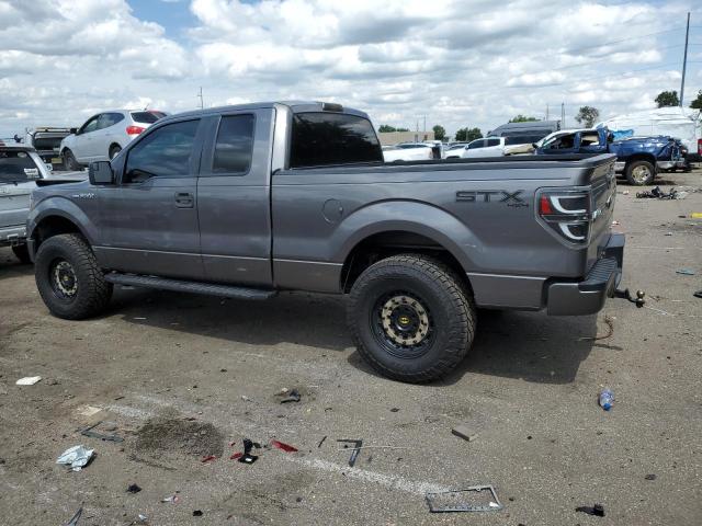 1FTFX1EF8DFA74407 - 2013 FORD F 150 SUPER CAB GRAY photo 2