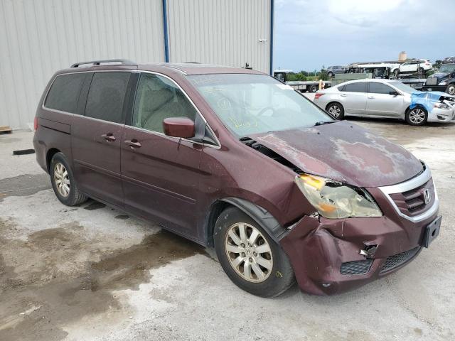 5FNRL38688B419493 - 2008 HONDA ODYSSEY EXL BURGUNDY photo 4