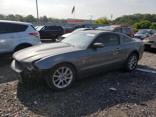 2010 FORD MUSTANG, null
