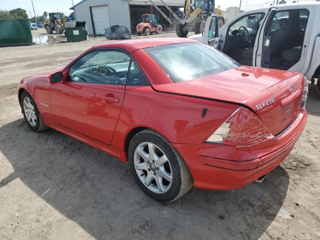 WDBKK49F63F283537 - 2003 MERCEDES-BENZ SLK 230 KOMPRESSOR RED photo 2