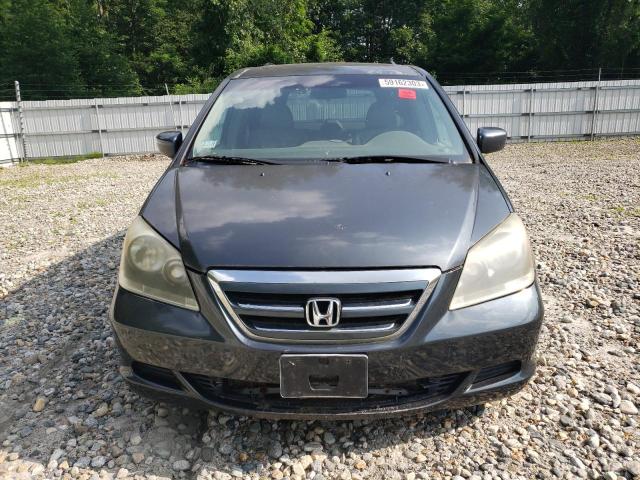 5FNRL38605B040631 - 2005 HONDA ODYSSEY EXL GRAY photo 5