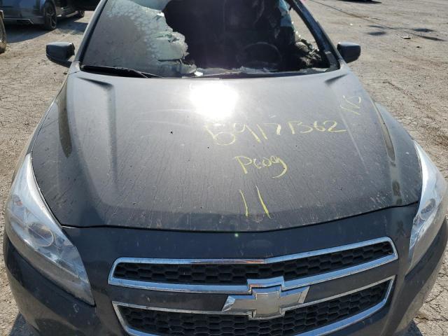 1G11C5SA0DF224752 - 2013 CHEVROLET MALIBU 1LT ნაცრისფერი ფოტო 7