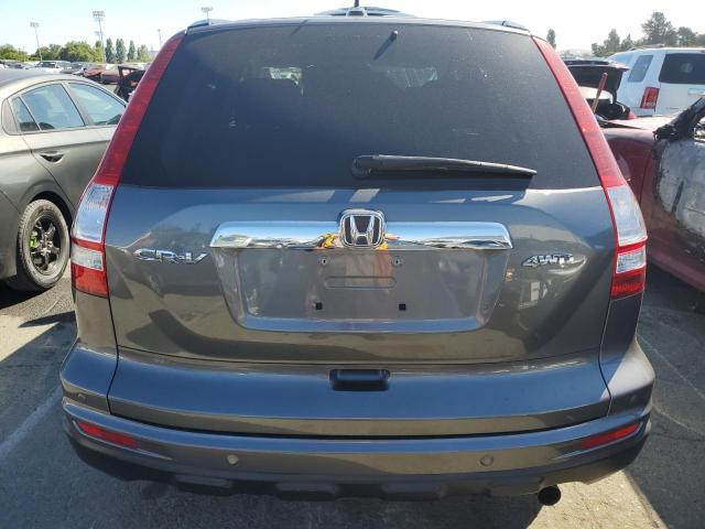 5J6RE4H78AL041066 - 2010 HONDA CR-V EXL CHARCOAL photo 6