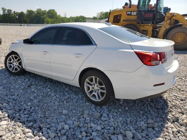 1G11C5SAXDU135251 - 2013 CHEVROLET MALIBU 1LT 白色 照片 2